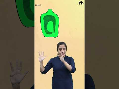 Placentation| Morphology of Flowering Plants Class 11 Biology #shorts #concepthogacrystalclear